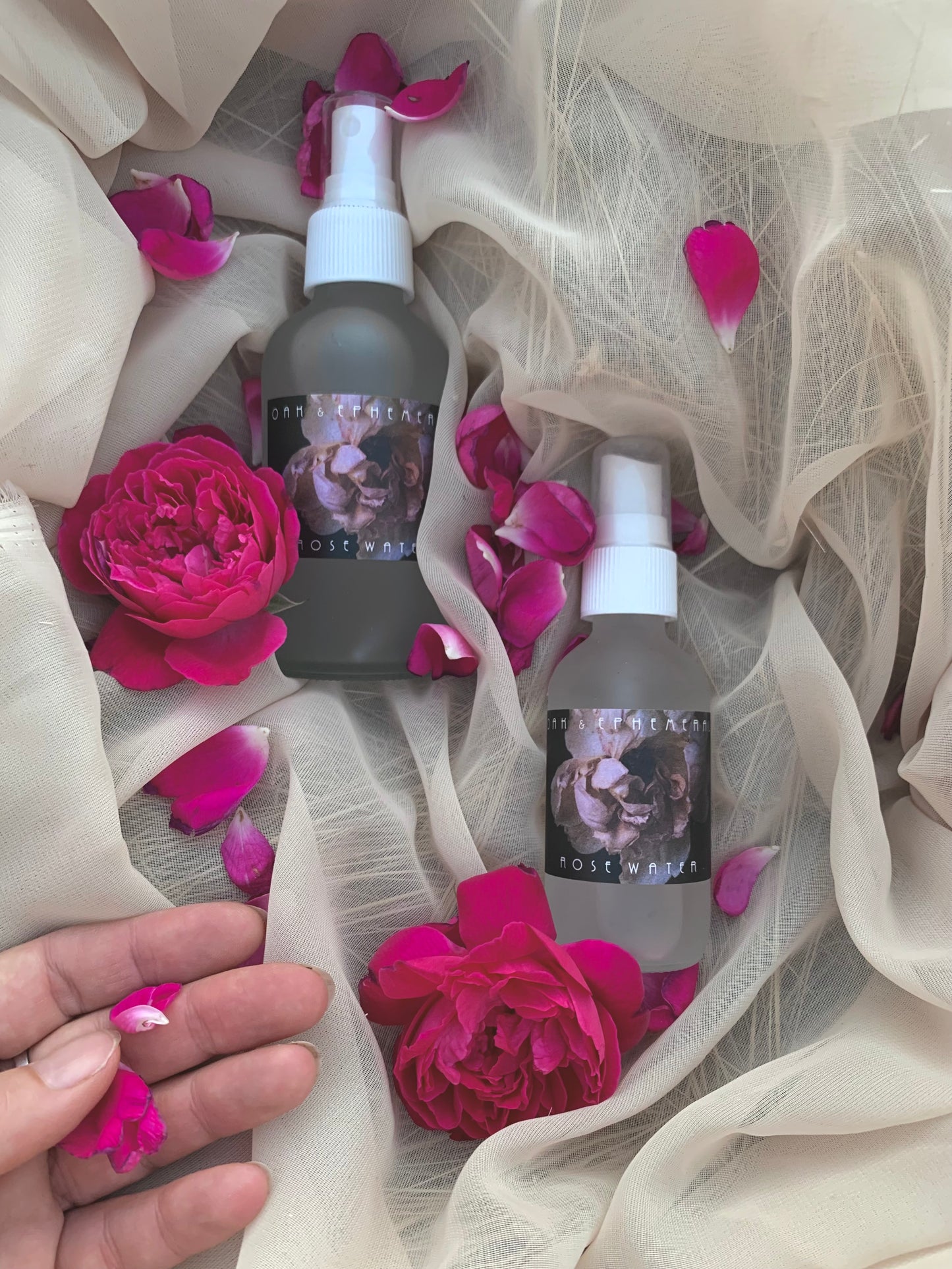 Rose water limited edition 2025