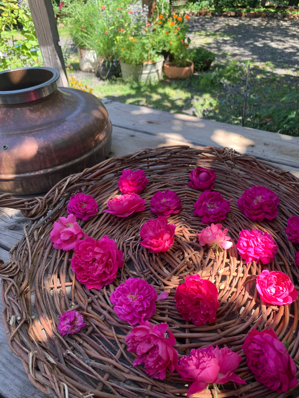 Rose & Rose geranium hydrosol - limited edition 2026