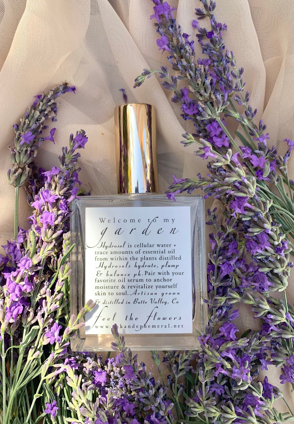 Maillette Lavender hydrosol - Limited edition 2026