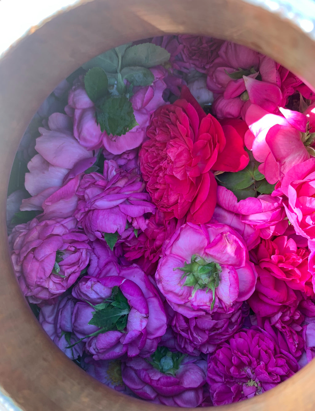 Rose & Rose geranium hydrosol - Limited edition 2026