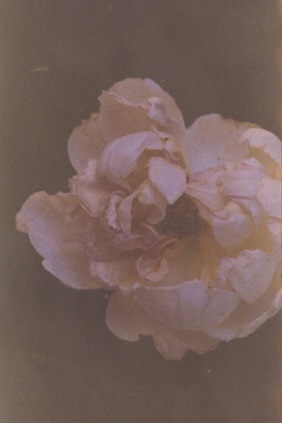 JudePastel.jpg__PID:5f57ee7d-3a49-4e36-9e62-42202fe52dde