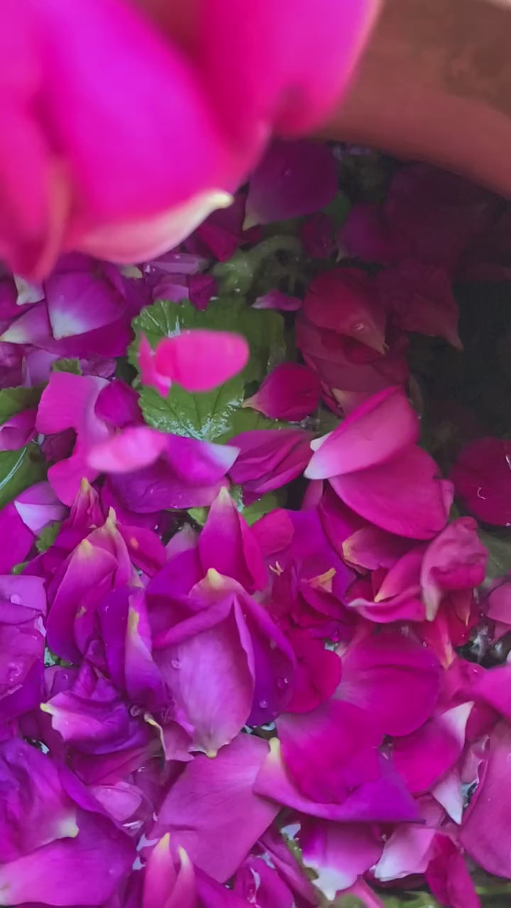 Rose & Rose geranium hydrosol - limited edition 2026